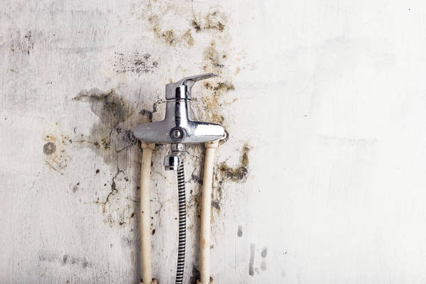 Best Mold Testing  in West Mayfield, PA
