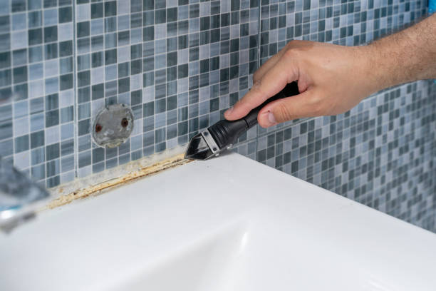 Best Best Mold Removal Companies  in West Mayfield, PA