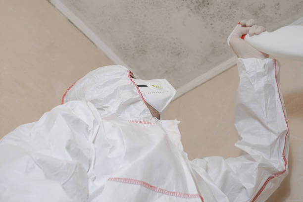 Best Commercial Mold Removal  in West Mayfield, PA